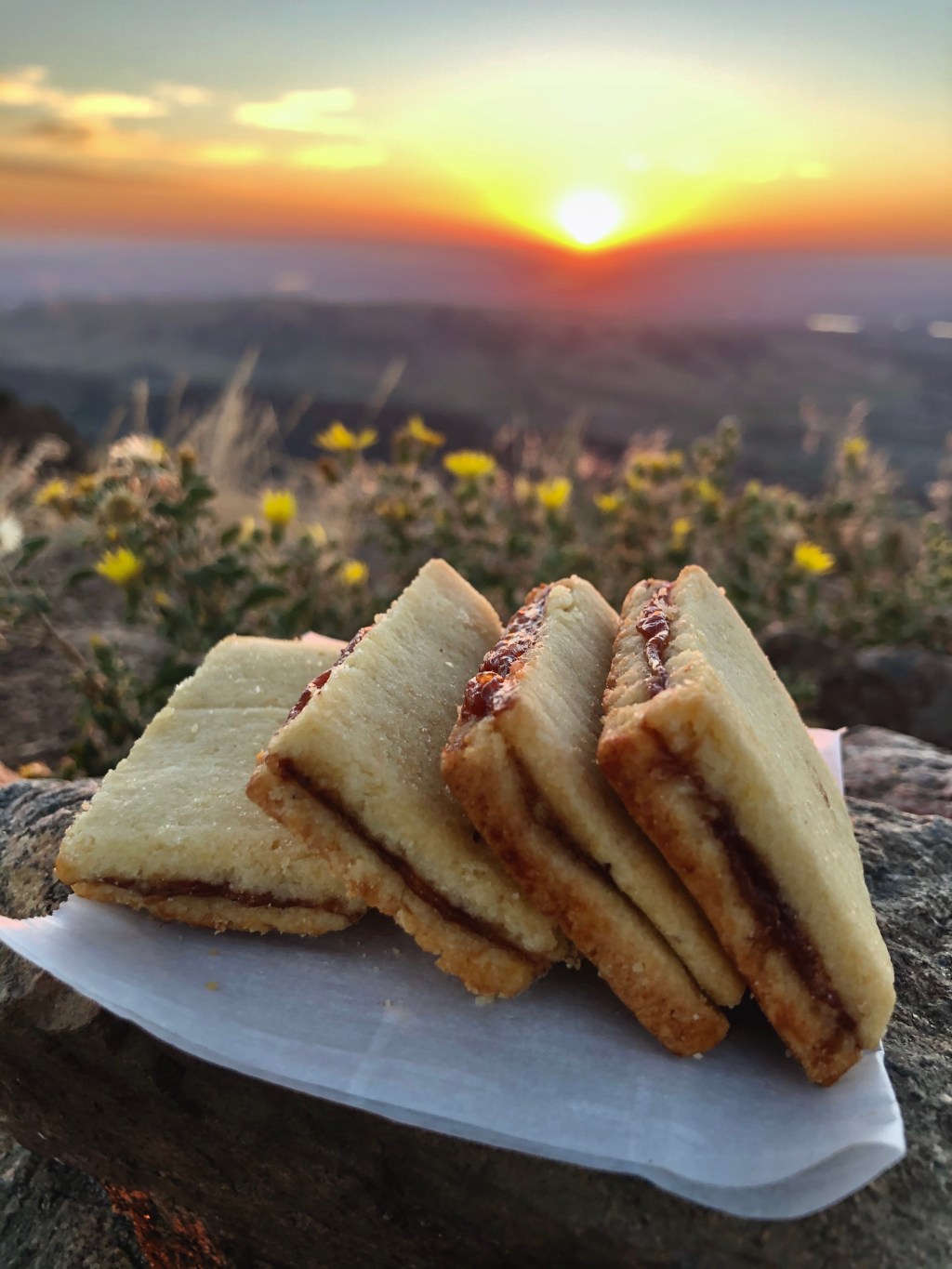 Energizing Sunrise Trail Cookies&nbsp;Recipe