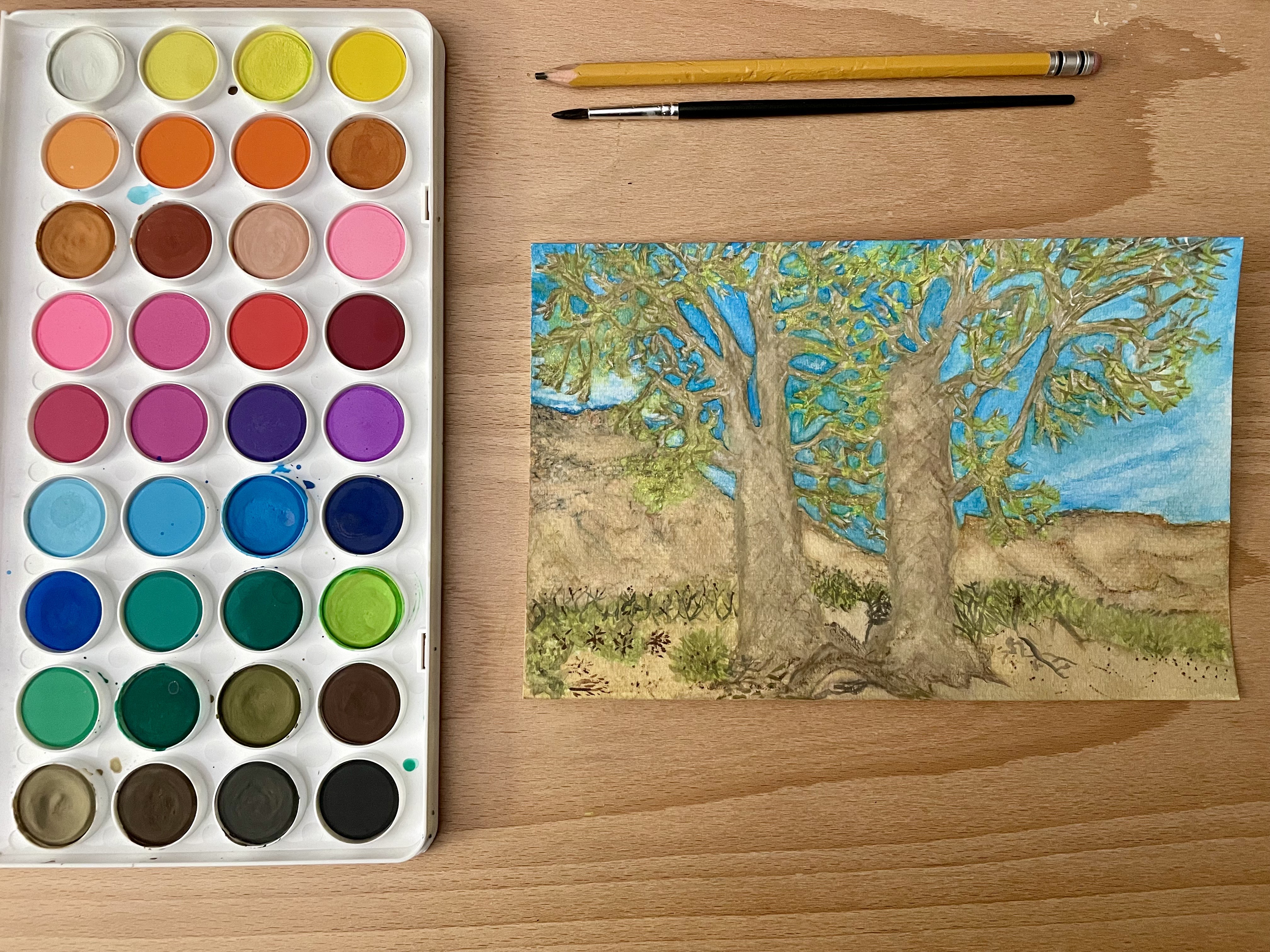 Water color pallet with two trees painted with a pencil and paintbrush above.